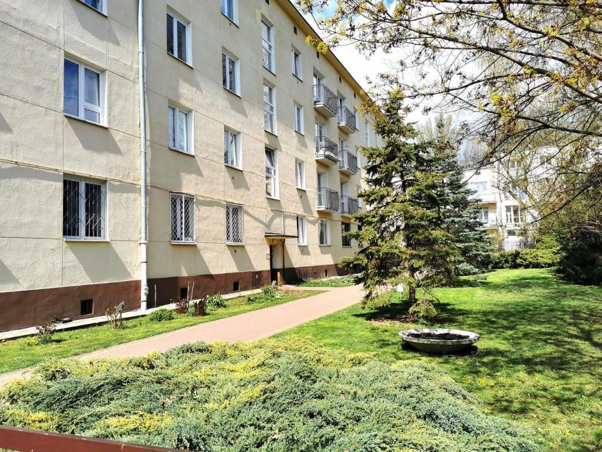 Apartment Art-studio In Saska